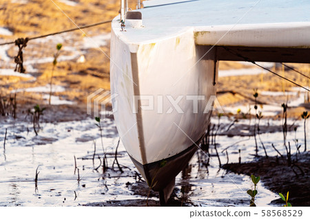 Close Up Of Hull Of Beached Catamaran 58568529