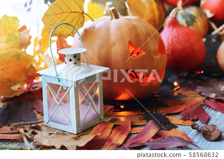 Halloween composition of jack-o-lantern, pumpkins, lamps, illuminations 58568632