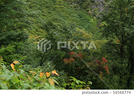 Name of waterfall Toyama prefecture Name of waterfall Toyama prefecture 58568774