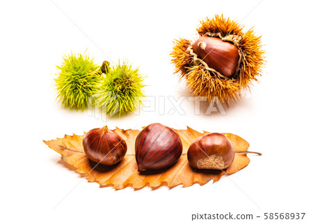 Chestnuts isolated on white background with 58568937