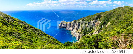 大崎崎懸崖和大崎燈塔全景[長崎縣五島市] 58569301