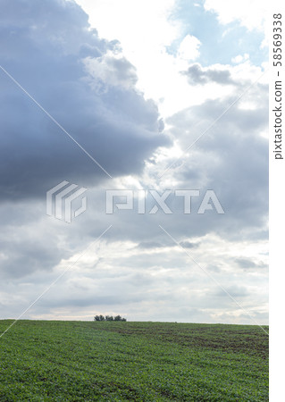Anseong Farmland Farm Scenery 58569338