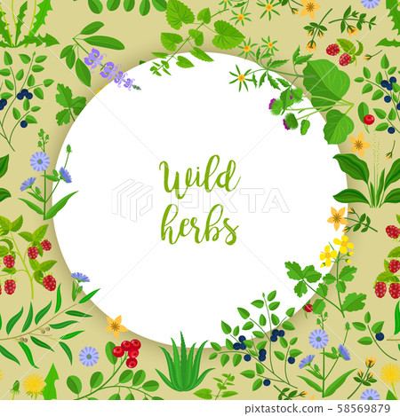 Wild herbs and berries circle frame Wild herbs and berries circle frame 58569879
