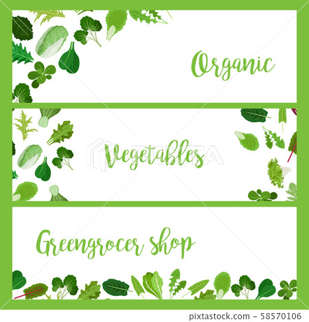 Organic horizontal banners with salad leaves Organic horizontal banners with salad leaves 58570106