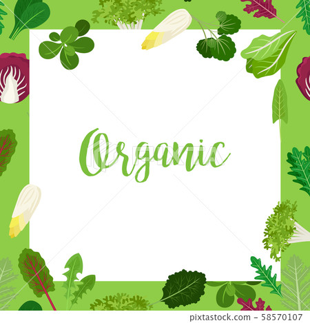 Organic banner with leaves square frame Organic banner with leaves square frame 58570107
