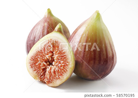 西方無花果 西方無花果 58570195