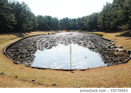 Misogi池塘 Misogi池塘 58570663