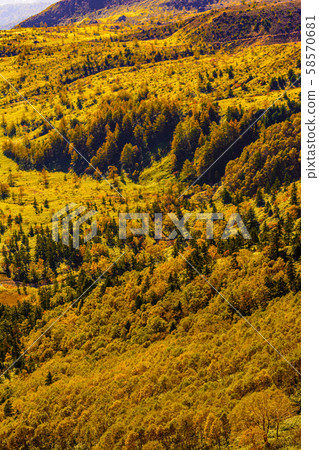 從日本國道的最高點 從日本國道的最高點 58570681