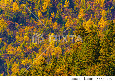 從日本國道的最高點 從日本國道的最高點 58570720