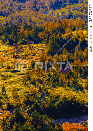 從日本國道的最高點 58570736