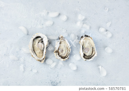 Fresh raw oysters on ice, shot from the top with a place for text 58570781