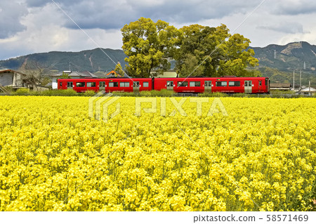 從久大本線築後-大石站出發的前往日田的普通列車 從久大本線築後-大石站出發的前往日田的普通列車 58571469