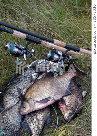 Successful fishing -  big freshwater bream fish 58572330