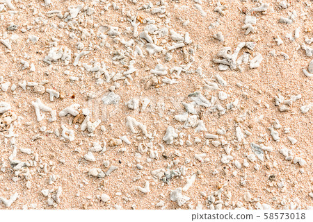 Beach in the southern country 58573018