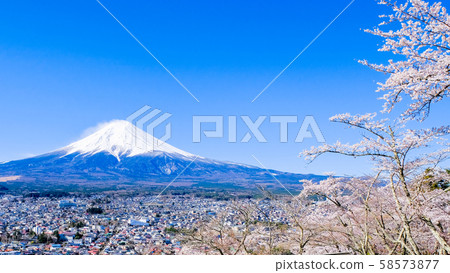新村山淺間公園的風景（春季） 58573877
