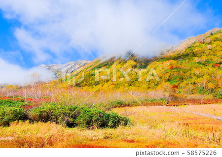 Tsugaike Nature Park (Autumn) Tsugaike Nature Park (Autumn) 58575226