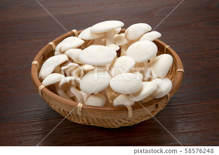 白姬路 白姬路 58576248