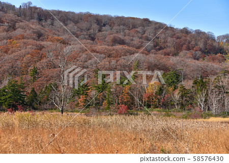 Yawatuma Onuma 58576430