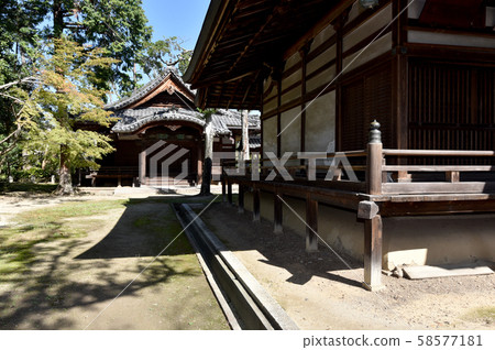 Shinkoin Main Hall and Chukodo 58577181