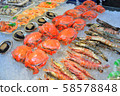 Display at Oarai Fishing Port 58578848