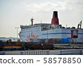 Sunflowers moored in Oarai 58578850
