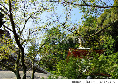 四國88寺聖地井山武神重院八庫寺 四國88寺聖地井山武神重院八庫寺 58579519