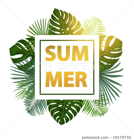 Green summer tropical background with exotic palm leaves and plants. Vector background. Green summer tropical background with exotic palm leaves and plants. Vector background. 58579730
