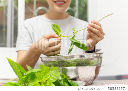Food preparing with woman hand pinching sweet basil leaf in kitchen table. 58582257