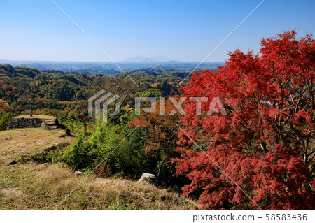 武田市阿希 58583436