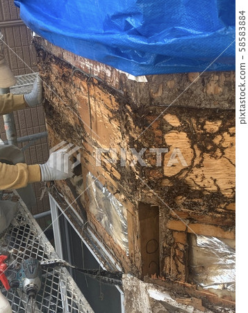 白蟻建設 58583884