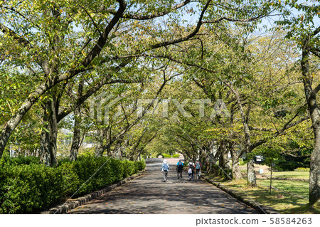 Hanabata Garden Park 58584263