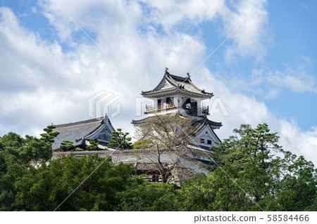 Kochi Castle 58584466