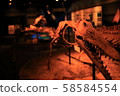 Dinosaur fossils in Nagoya Port 58584554