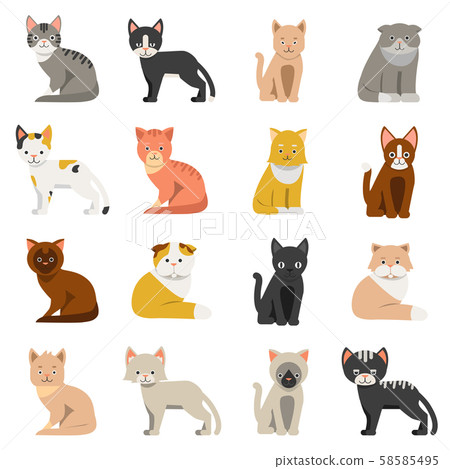 Funny cats in flat style. Isolate on white background Funny cats in flat style. Isolate on white background 58585495