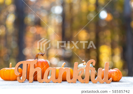 Thankful message Thanksgiving theme 58585742