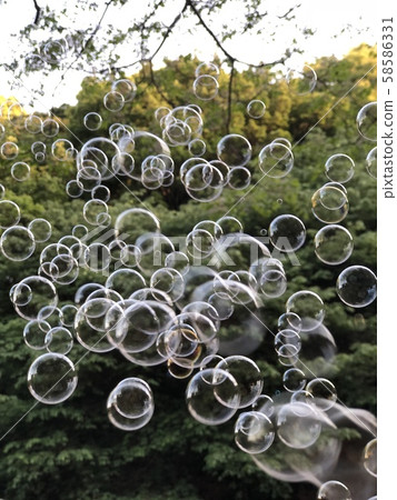 Soap bubble Soap bubble 58586331