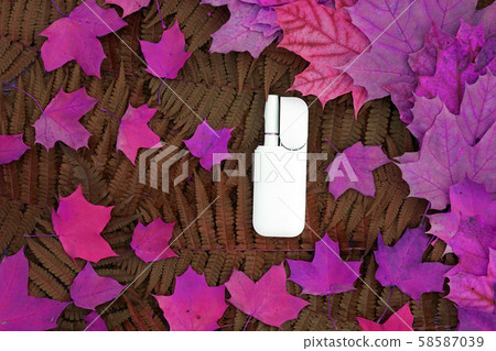 White IQOS battery with individual sticks lies White IQOS battery with individual sticks lies 58587039