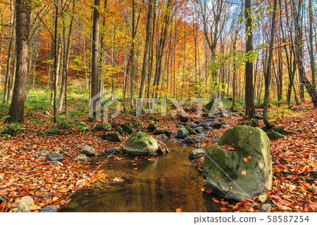 water stream among the rock in forest water stream among the rock in forest 58587254