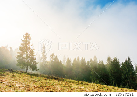 fantastic foggy weather in autumn 58587281