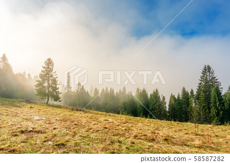 fantastic foggy weather in autumn 58587282