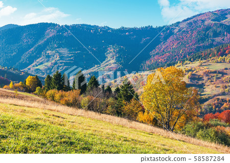 wonderful sunny autumn day in mountains wonderful sunny autumn day in mountains 58587284