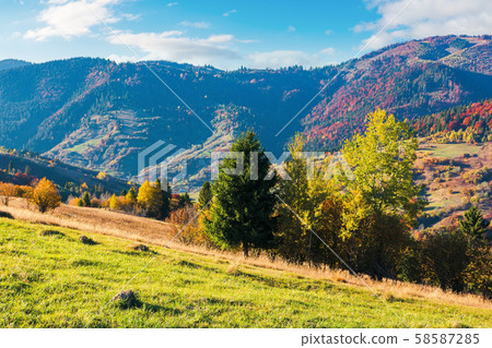wonderful sunny autumn day in mountains wonderful sunny autumn day in mountains 58587285