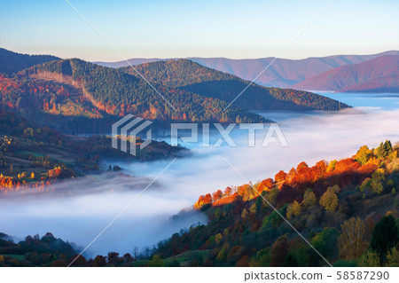 beautiful autumn landscape with valley fog beautiful autumn landscape with valley fog 58587290