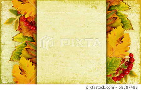 Autumn background with leaves and berries 58587488