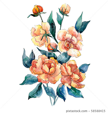 Peony bouquet floral botanical flowers. Watercolor background illustration set. Isolated bouquets Peony bouquet floral botanical flowers. Watercolor background illustration set. Isolated bouquets 58588415