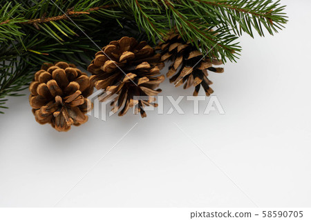 Fir branches with cones in the corner on a white background isolated. New Year card template 58590705