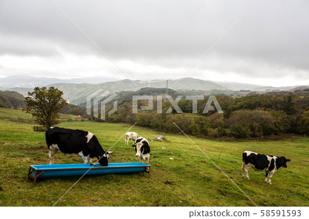 Landscape of ranch Landscape of ranch 58591593