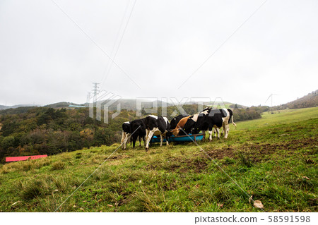 Landscape of ranch Landscape of ranch 58591598