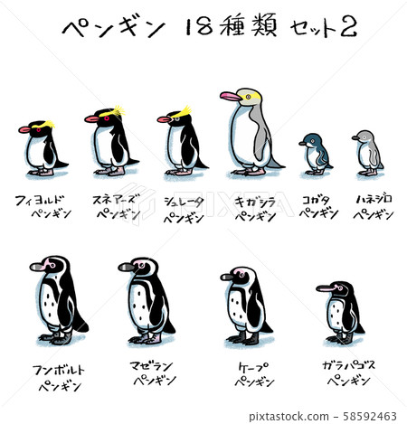 Penguin 18 Types Set 2 Stock Illustration