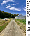 一條路 58592887